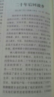 作文,暢想,未來,校園