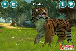 作文校園里的小老虎