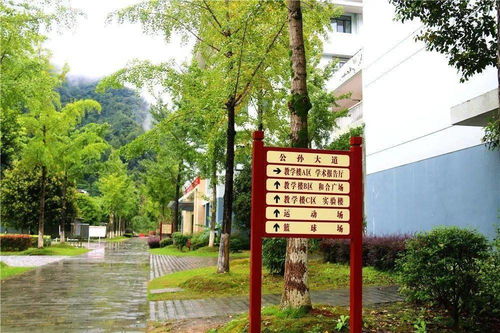 寫校園里指示牌的作文