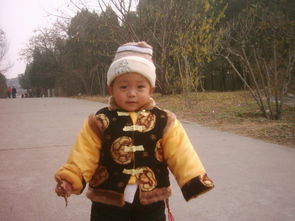 描寫校園建筑物作文300字左右