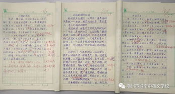 校園新風(fēng)暴是什么作文