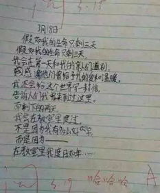小學作文寫校園里感動人心的事情