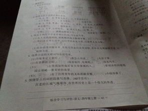 的人,作文,喜歡,校園