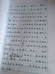 用說(shuō)明文寫我的校園的作文怎么寫