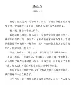 關(guān)于寫剛進校園的感受的作文