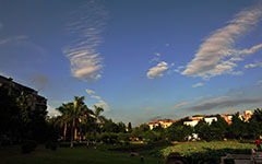 清早的校園作文400