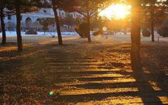 作文,風(fēng)景,校園