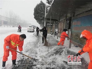 校園中最美的景色作文