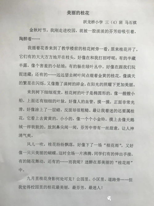 與校園共成長(zhǎng)的作文