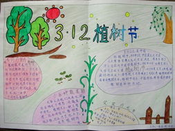 愛護(hù)校園環(huán)境作文400字左右,愛護(hù)環(huán)境共建綠色校園作文,愛護(hù)校園環(huán)境作文800字