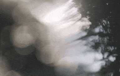 時(shí)光的印記作文校園生活