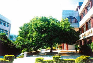 景的作文美麗的校園