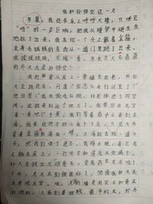 孫悟空來到校園的作文