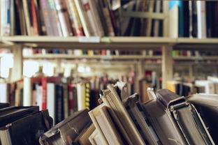 校園中的圖書館作文500字