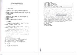 作文,特色,足球,校園