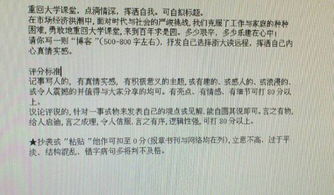 校園布局的作文