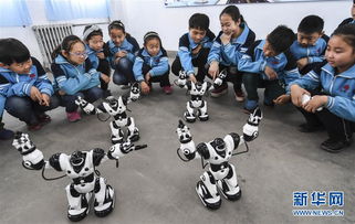 智能機(jī)器人進(jìn)校園作文500字