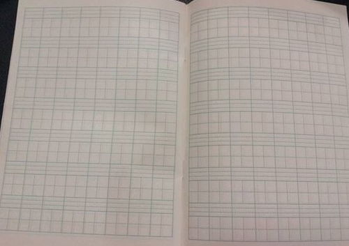 農(nóng)村我的校園作文