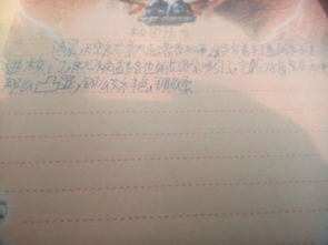 校園訪友作文800字