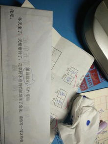 校園的景物有哪些變化作文300字作文