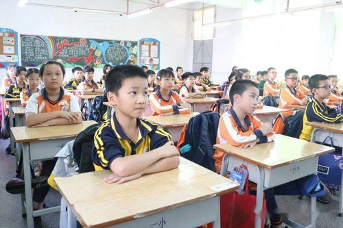 欺凌,作文,四級,校園