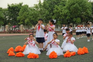 多姿多彩的校園活動(dòng)作文400字