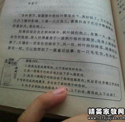 校園觀察日記400字作文400字左右