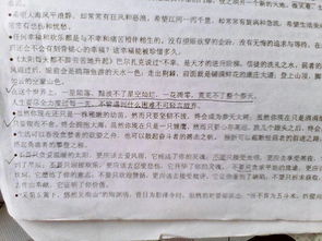 校園中最美的背影作文800字作文開頭