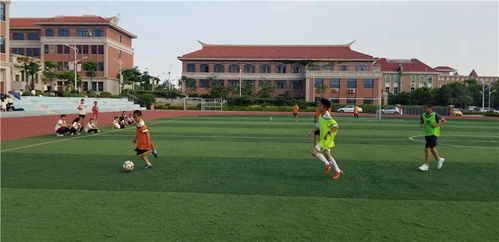 校園足球班級(jí)比賽作文