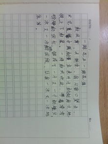 作文,校園,桅桅花