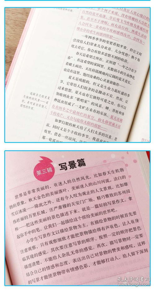 美麗的校園作文4級(jí)6