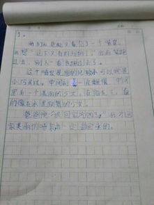 作文,字左右,校園