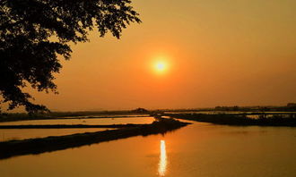 作文,黃昏,校園