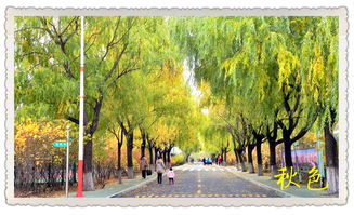 我的新校園作文600字初一寫景,我的新校園生活作文600字初一,我的新同學(xué)作文600字