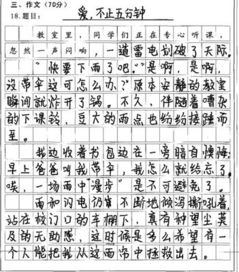 我的校園滿分作文800字
