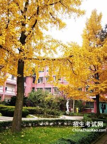 校園風(fēng)景作文兒