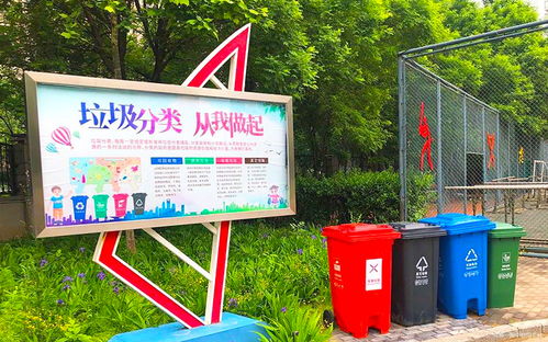 美麗校園垃圾分類(lèi)作文400字