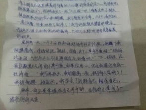 觀察校園的大樹作文400字