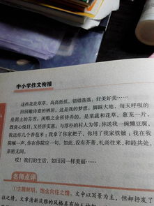 寫一次校園活動的作文500字,寫一次校園活動的作文400字,寫一次校園活動的作文450