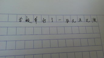 校園元旦晚會(huì)的作文