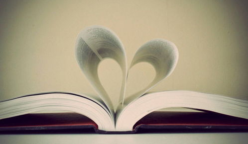 小學(xué)四級作文我愛我的校園