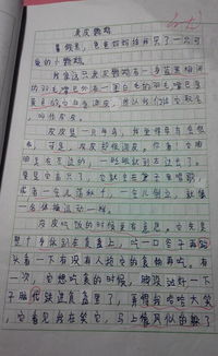 喜愛(ài)校園的作文400字左右作文