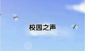 說明文,作文,校園