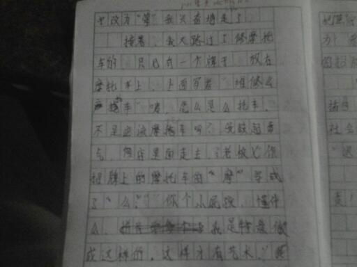 校園調(diào)查報告寫一篇作文400字