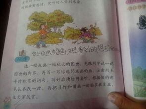 校園里的松樹200字作文怎么寫