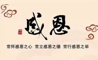 校園勵(lì)志標(biāo)語(yǔ)演講稿800字,校園勵(lì)志演講稿600字,校園勵(lì)志演講稿300字左右