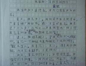 美麗的校園作文寫景開(kāi)頭65