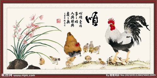 校園金雞報曉作文