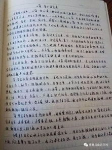 校園的精彩生活作文