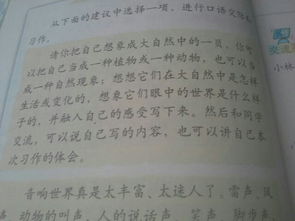 什么校園一道作文開頭